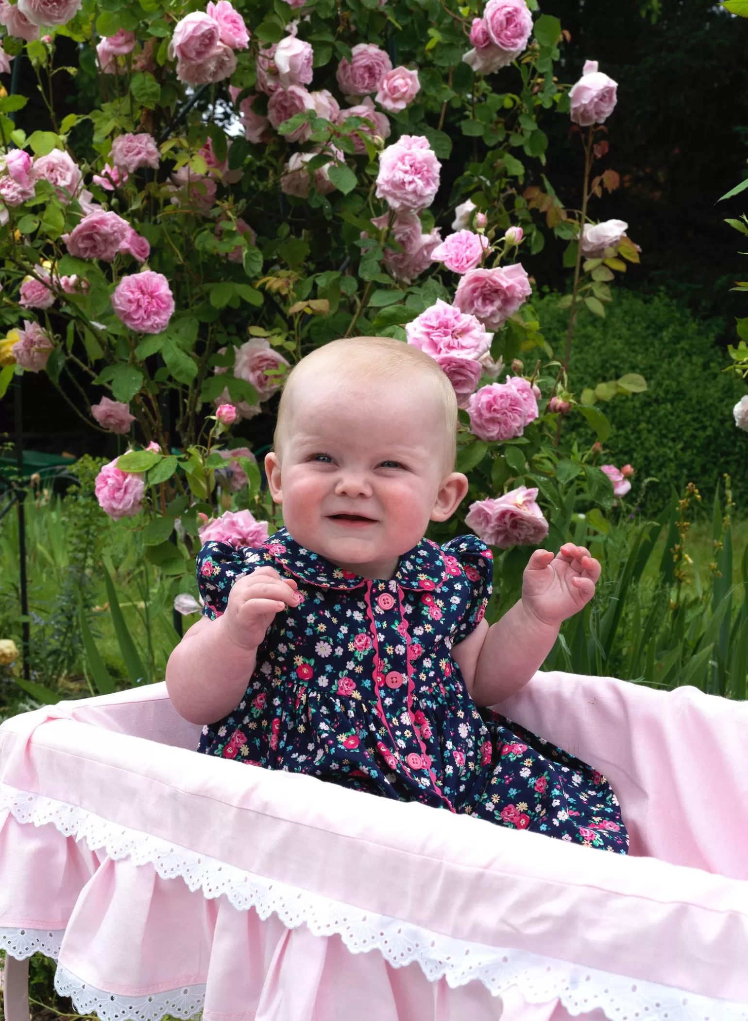 Rachel Riley Floral Button-Front Dress & Bloomers | Baby Girl Dresses
