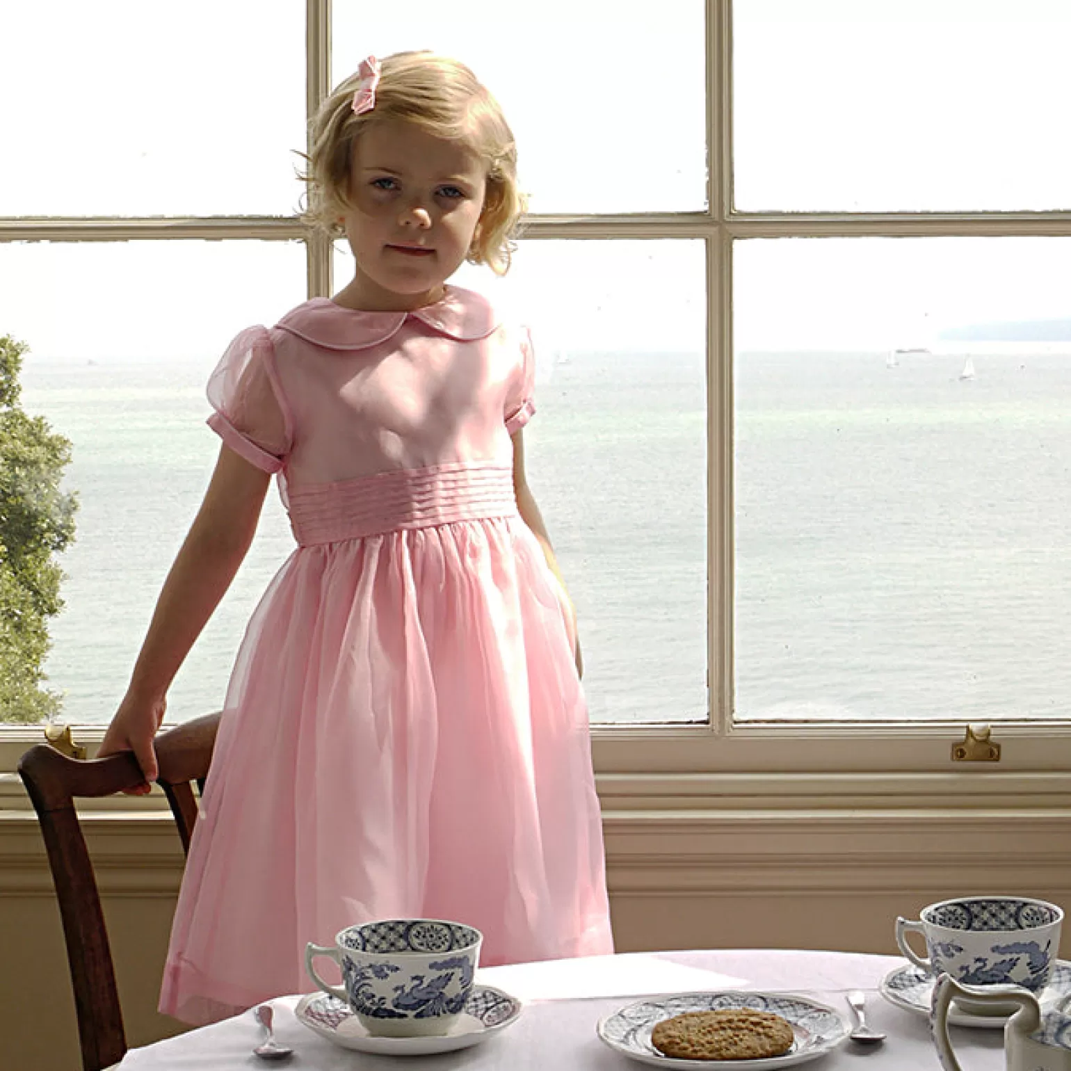 Rachel Riley Organza Pintuck Dress | Girl Dresses